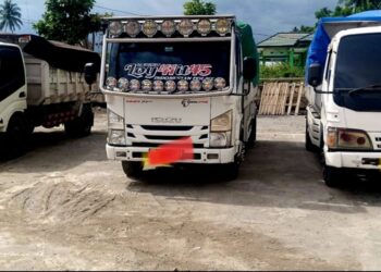 GAWAT! Babuk Batu Hitam Ilegal Dilepas Polres Bolsel
