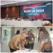 Pj Wali Kotamobagu Asripan Nani Hadir RUPS-LB PT. Bank SulutGo Tahun 2024