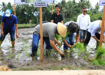Dukung Ketahanan Pangan, Pj Wali Kota Kotamobagu Launching Layanan Sahabat Tani