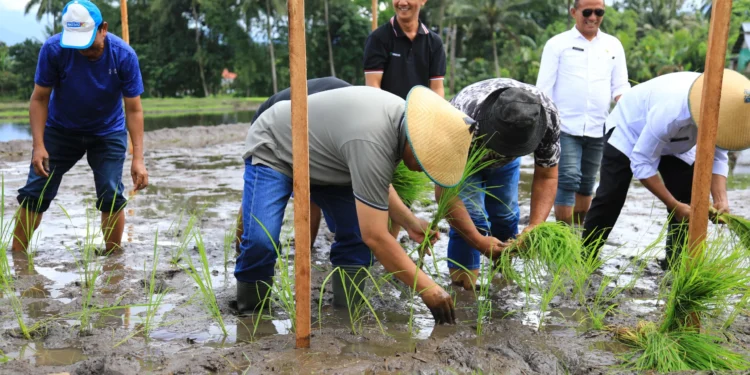 Dukung Ketahanan Pangan, Pj Wali Kota Kotamobagu Launching Layanan Sahabat Tani