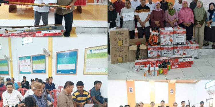Serahkan Bantuan Kelompok Tani, Sangadi Tolondadu II: Ayo! Menanam Apa yang Kita Makan