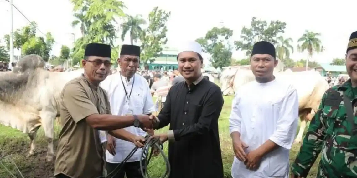 Wawali Kotamobagu Rendy Virgiawan Mangkat Serahkan 4 Ekor Hewan Kurban Sapi di Kelurahan Motoboi Kecil