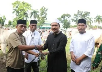 Wawali Kotamobagu Rendy Virgiawan Mangkat Serahkan 4 Ekor Hewan Kurban Sapi di Kelurahan Motoboi Kecil