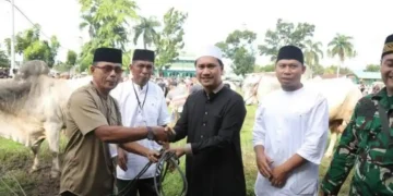 Wawali Kotamobagu Rendy Virgiawan Mangkat Serahkan 4 Ekor Hewan Kurban Sapi di Kelurahan Motoboi Kecil