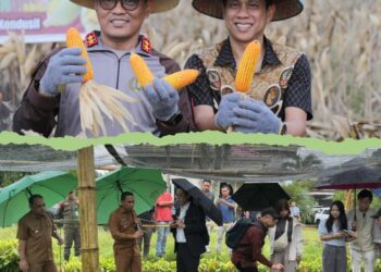 Distankan Kotamobagu Usulkan Bantuan Bibit ke Kementan, Sasar 77 Kelompok Tani