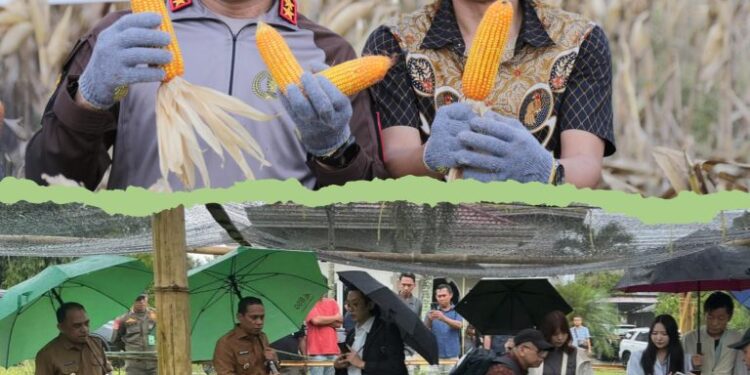 Distankan Kotamobagu Usulkan Bantuan Bibit ke Kementan, Sasar 77 Kelompok Tani