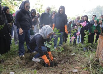 Semarak HKG PKK ke-54, TP-PKK Kotamobagu Gelar Pasar Murah hingga Pelayanan KB Gratis